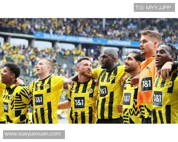 霍芬海姆客战多特蒙德遭遇失利,遗憾比分告负 霍芬海姆客战多特蒙德遭遇失利,遗憾比分告负